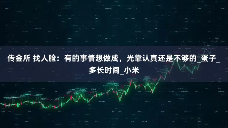 传金所 找人脸：有的事情想做成，光靠认真还是不够的_蛋子_多长时间_小米