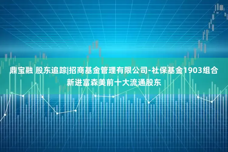 鼎宝融 股东追踪|招商基金管理有限公司-社保基金1903组合新进富森美前十大流通股东