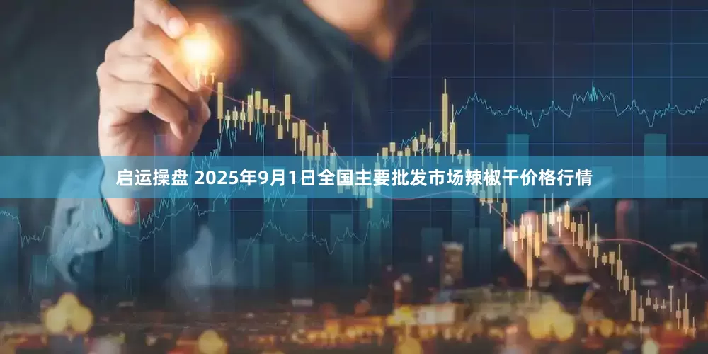 启运操盘 2025年9月1日全国主要批发市场辣椒干价格行情