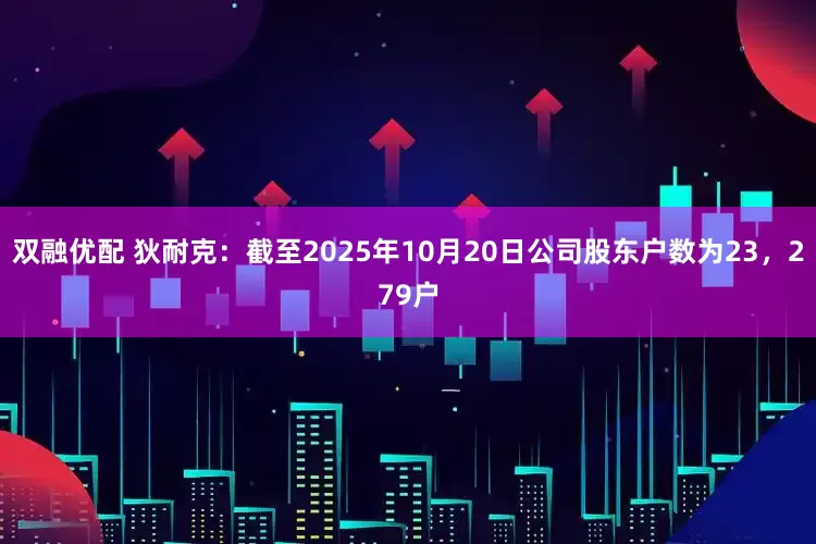 双融优配 狄耐克：截至2025年10月20日公司股东户数为23，279户