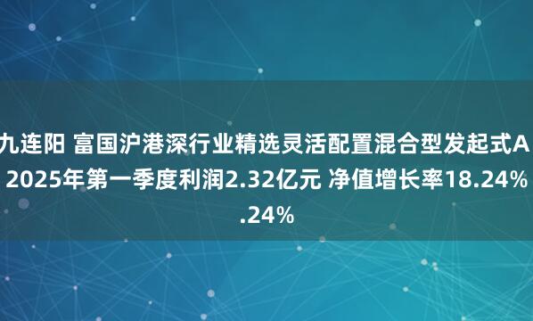 九连阳 富国沪港深行业精选灵活配置混合型发起式A：2025年第一季度利润2.32亿元 净值增长率18.24%