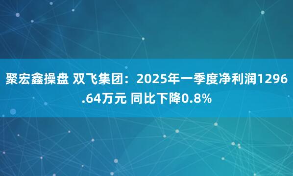 聚宏鑫操盘 双飞集团：2025年一季度净利润1296.64万元 同比下降0.8%